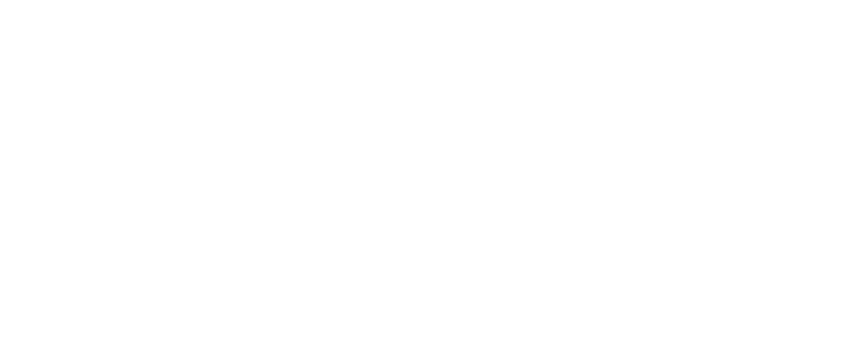 Volkswagen, Renault, Chevrolet, Toyota, Fiat, Ford, Citroën, Peugeot. autos importados