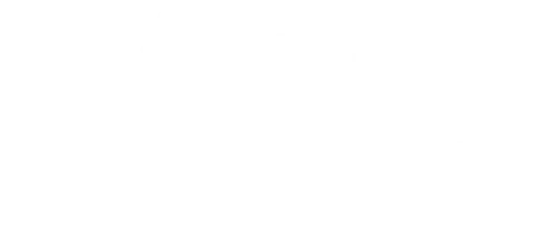 Repuestos Volkswagen, Renault, Chevrolet, Toyota, Fiat, Ford, Citroën, Peugeot e importados en Mendoza